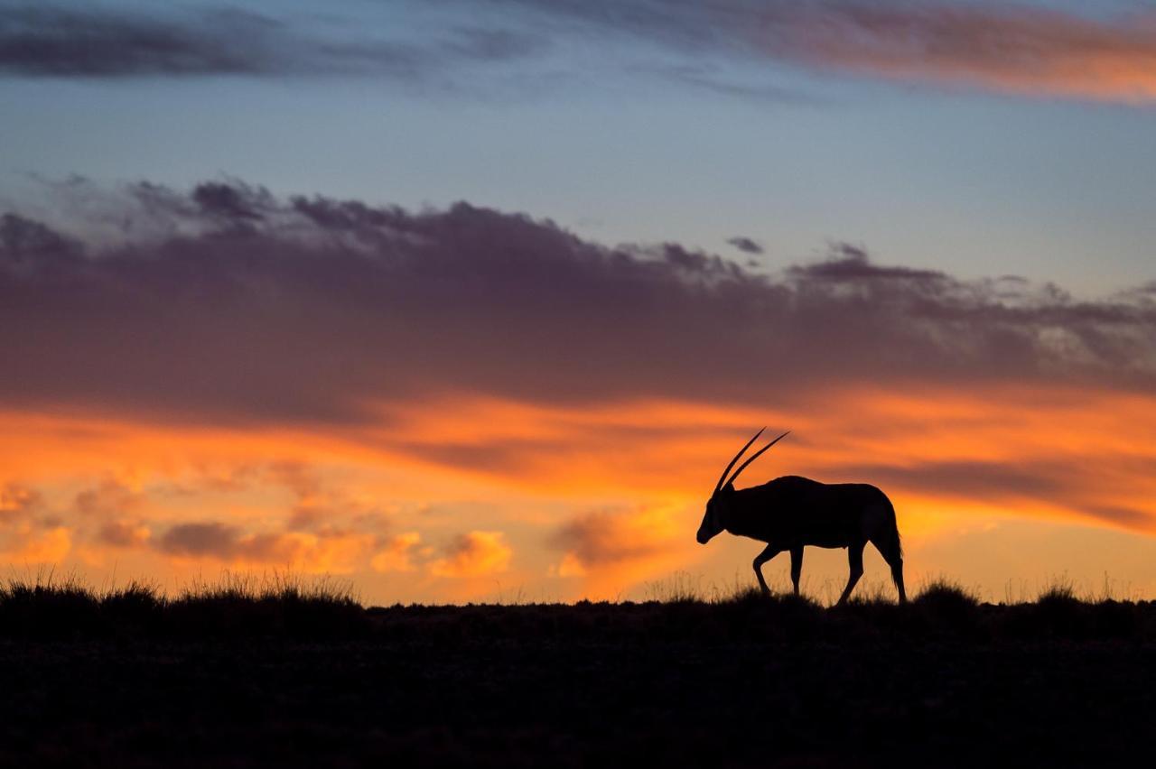 Wilderness Safaris Kulala Desert Lodge Sesriem Zewnętrze zdjęcie