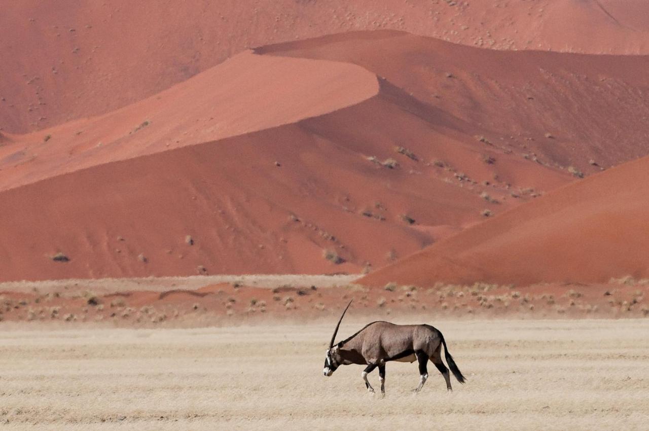Wilderness Safaris Kulala Desert Lodge Sesriem Zewnętrze zdjęcie