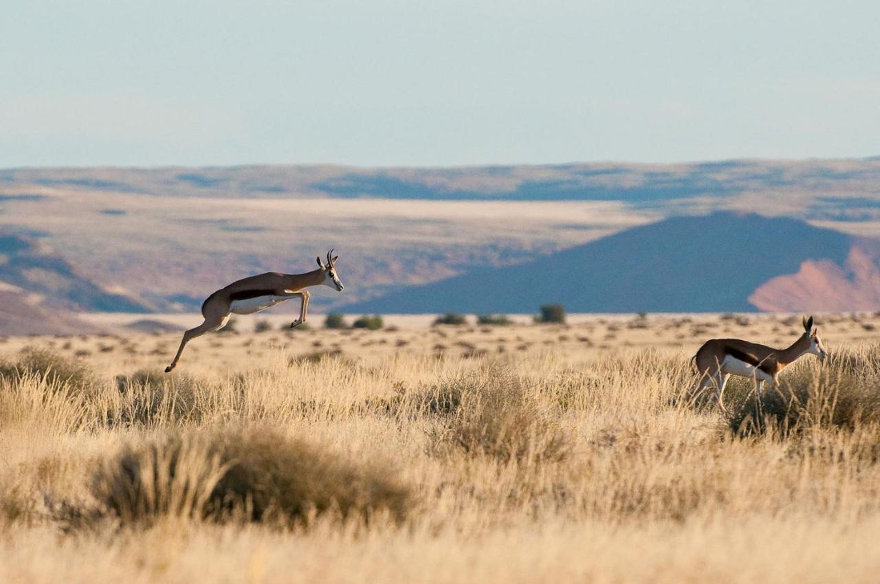 Wilderness Safaris Kulala Desert Lodge Sesriem Zewnętrze zdjęcie