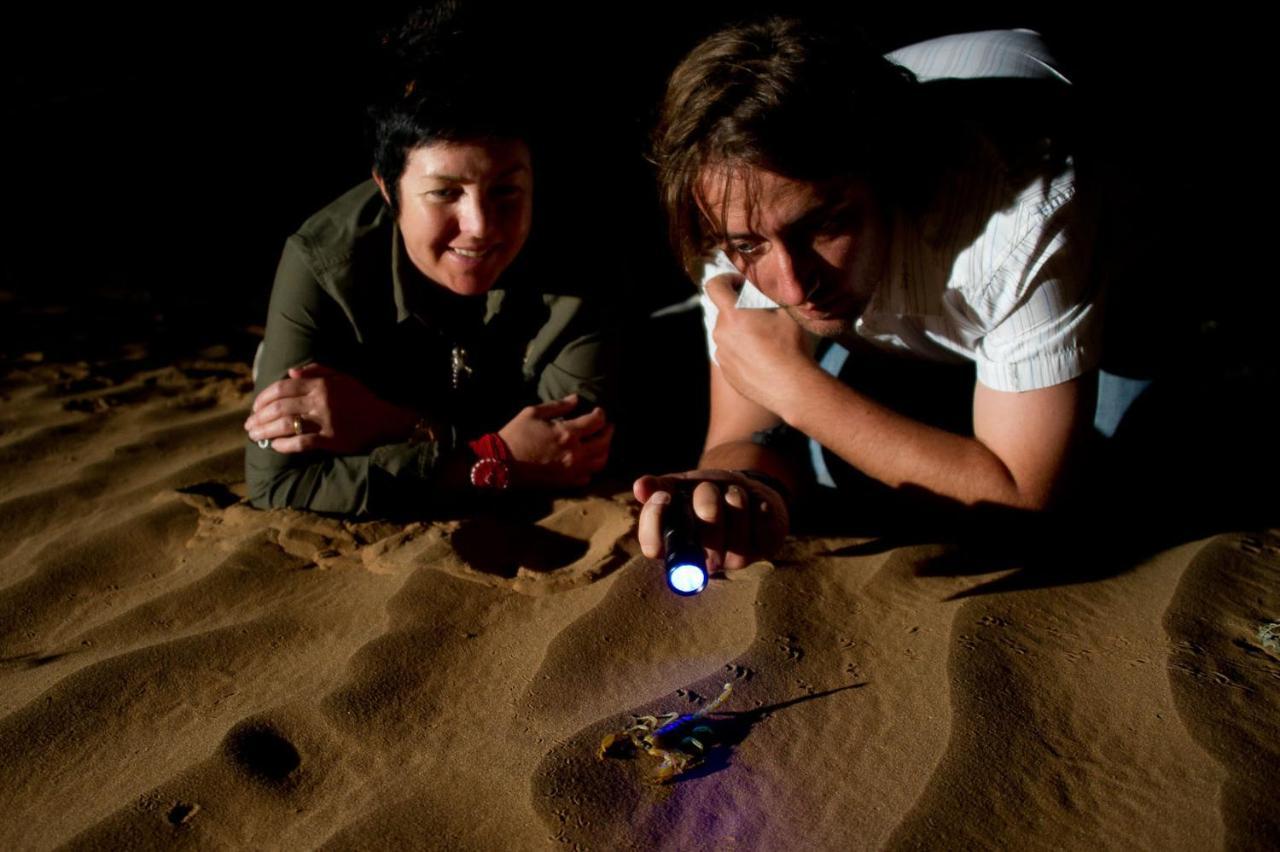 Wilderness Safaris Kulala Desert Lodge Sesriem Zewnętrze zdjęcie
