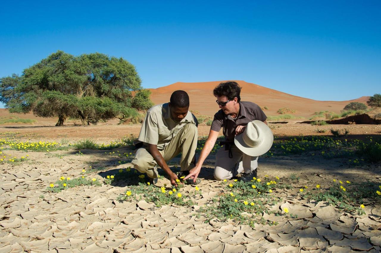 Wilderness Safaris Kulala Desert Lodge Sesriem Zewnętrze zdjęcie